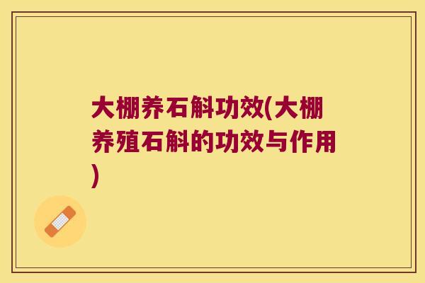 大棚养石斛功效(大棚养殖石斛的功效与作用)