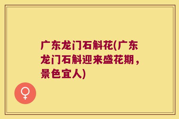 广东龙门石斛花(广东龙门石斛迎来盛花期，景色宜人)