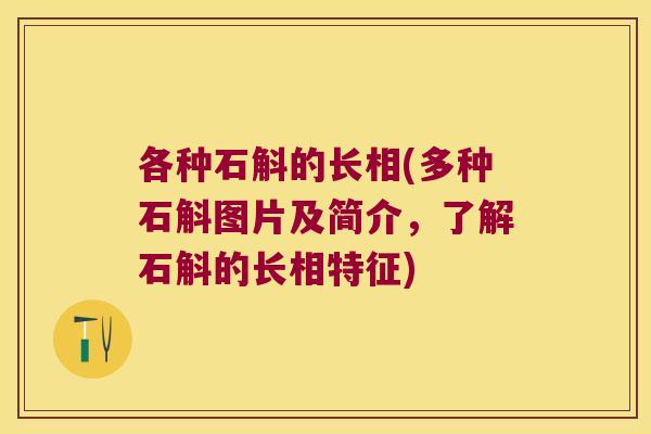 各种石斛的长相(多种石斛图片及简介，了解石斛的长相特征)