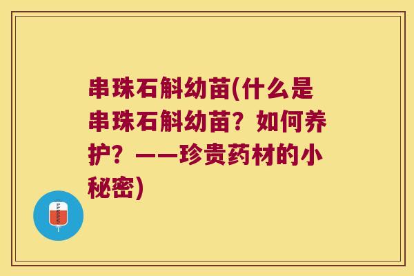 串珠石斛幼苗(什么是串珠石斛幼苗？如何养护？——珍贵药材的小秘密)