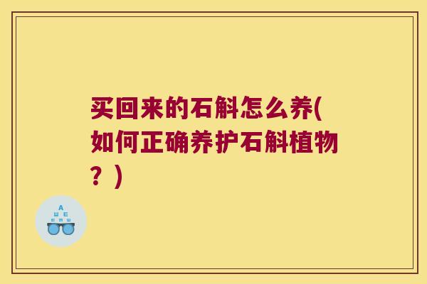 买回来的石斛怎么养(如何正确养护石斛植物？)