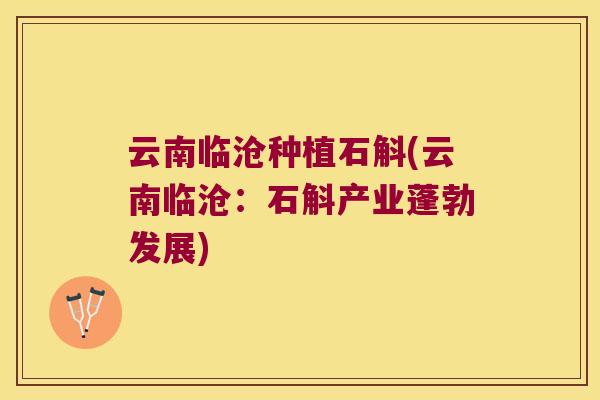 云南临沧种植石斛(云南临沧：石斛产业蓬勃发展)