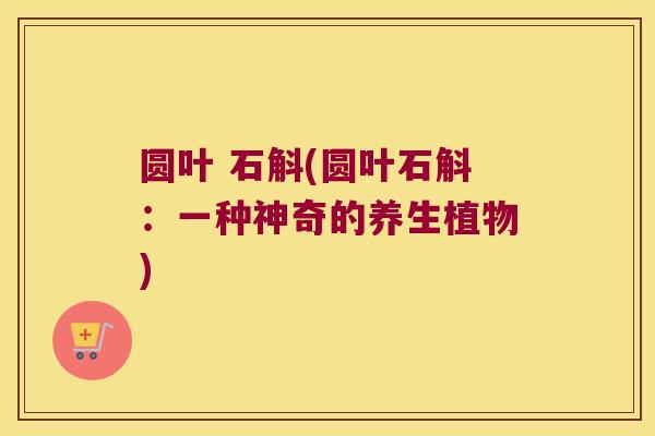 圆叶 石斛(圆叶石斛：一种神奇的养生植物)