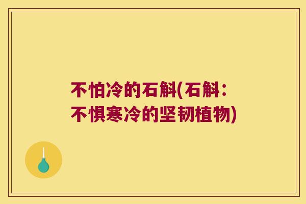不怕冷的石斛(石斛：不惧寒冷的坚韧植物)