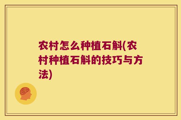 农村怎么种植石斛(农村种植石斛的技巧与方法)