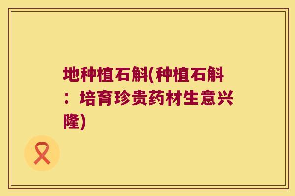 地种植石斛(种植石斛：培育珍贵药材生意兴隆)