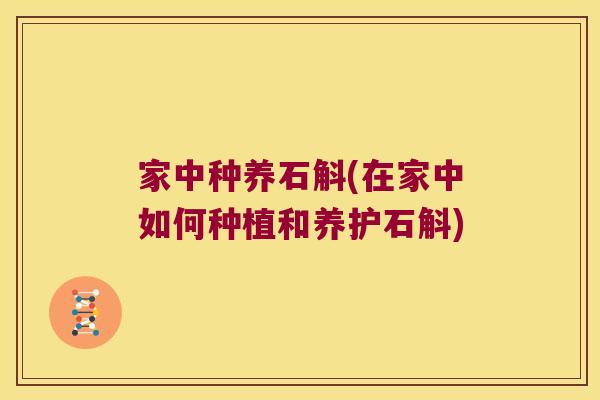 家中种养石斛(在家中如何种植和养护石斛)