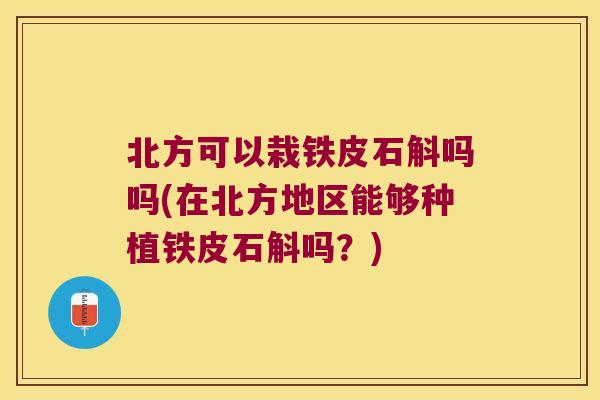北方可以栽铁皮石斛吗吗(在北方地区能够种植铁皮石斛吗？)