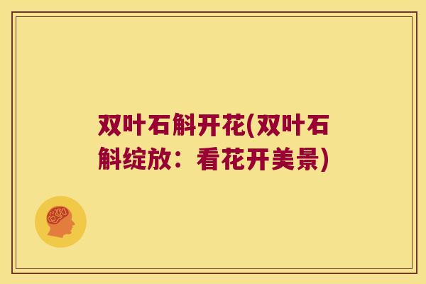 双叶石斛开花(双叶石斛绽放：看花开美景)