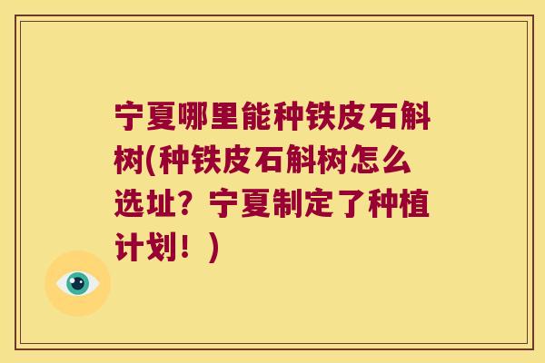 宁夏哪里能种铁皮石斛树(种铁皮石斛树怎么选址？宁夏制定了种植计划！)