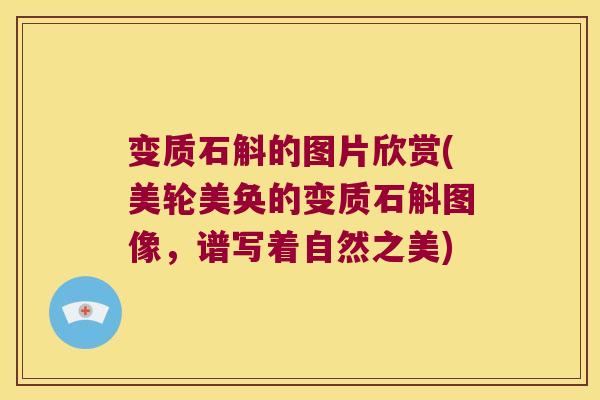 变质石斛的图片欣赏(美轮美奂的变质石斛图像，谱写着自然之美)