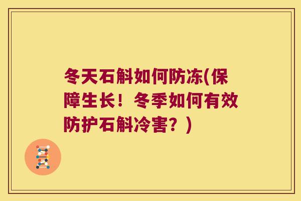 冬天石斛如何防冻(保障生长！冬季如何有效防护石斛冷害？)