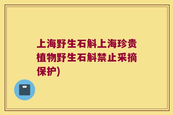 上海野生石斛上海珍贵植物野生石斛禁止采摘保护) 上海野生石斛上海珍贵植物野生石斛禁止采摘保护)