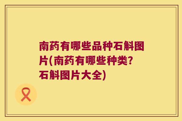 南药有哪些品种石斛图片(南药有哪些种类？石斛图片大全)