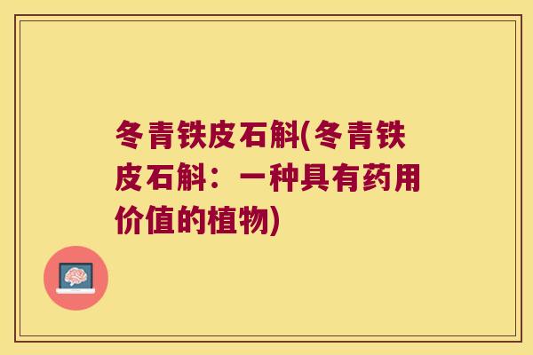 冬青铁皮石斛(冬青铁皮石斛：一种具有药用价值的植物)