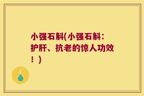 小强石斛(小强石斛：护肝、抗老的惊人功效！)