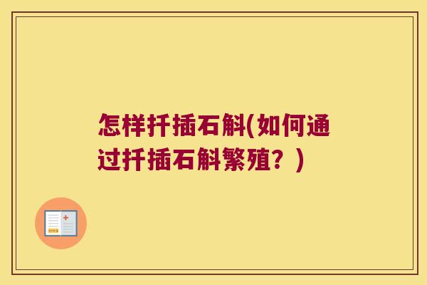 怎样扦插石斛(如何通过扦插石斛繁殖？)
