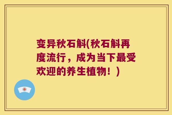 变异秋石斛(秋石斛再度流行，成为当下最受欢迎的养生植物！)