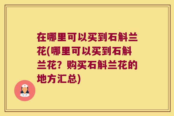 在哪里可以买到石斛兰花(哪里可以买到石斛兰花？购买石斛兰花的地方汇总)