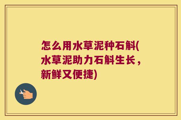 怎么用水草泥种石斛(水草泥助力石斛生长，新鲜又便捷)