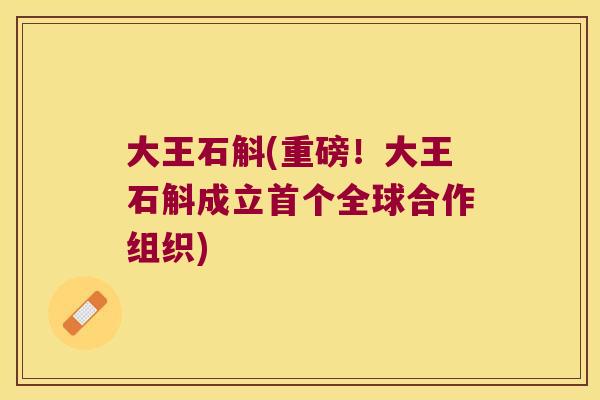大王石斛(重磅！大王石斛成立首个全球合作组织)