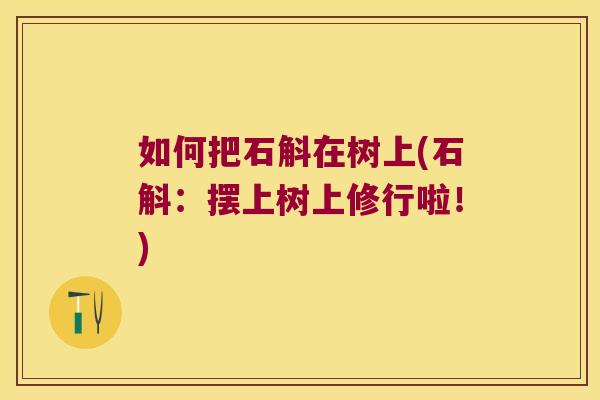 如何把石斛在树上(石斛：摆上树上修行啦！)