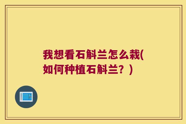 我想看石斛兰怎么栽(如何种植石斛兰？)