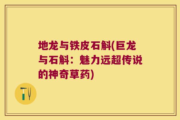 地龙与铁皮石斛(巨龙与石斛：魅力远超传说的神奇草药)