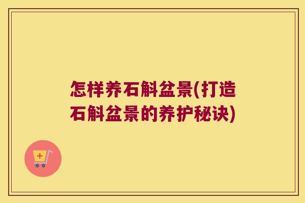怎样养石斛盆景(打造石斛盆景的养护秘诀)