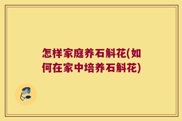 怎样家庭养石斛花(如何在家中培养石斛花)