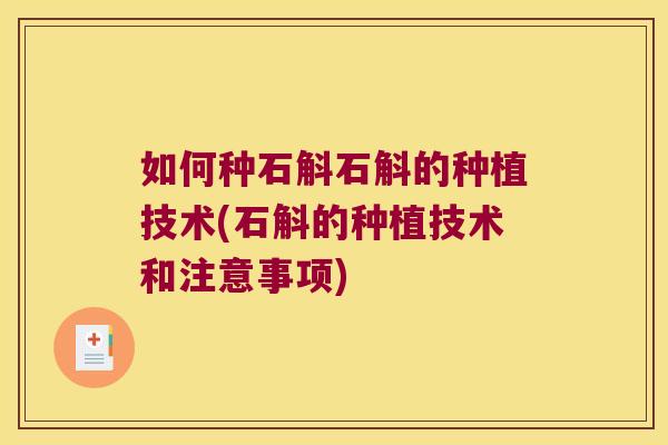 如何种石斛石斛的种植技术(石斛的种植技术和注意事项)