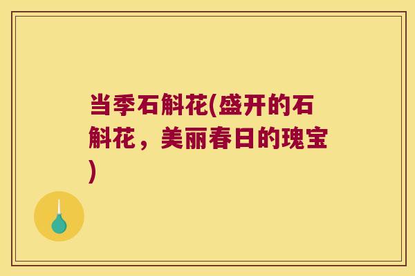 当季石斛花(盛开的石斛花，美丽春日的瑰宝)