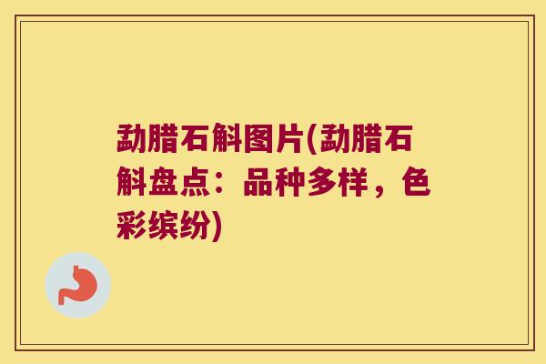 勐腊石斛图片(勐腊石斛盘点：品种多样，色彩缤纷)