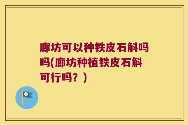 廊坊可以种铁皮石斛吗吗(廊坊种植铁皮石斛可行吗？)