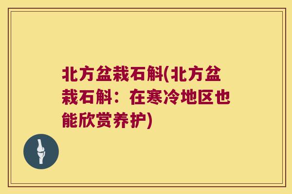 北方盆栽石斛(北方盆栽石斛：在寒冷地区也能欣赏养护)