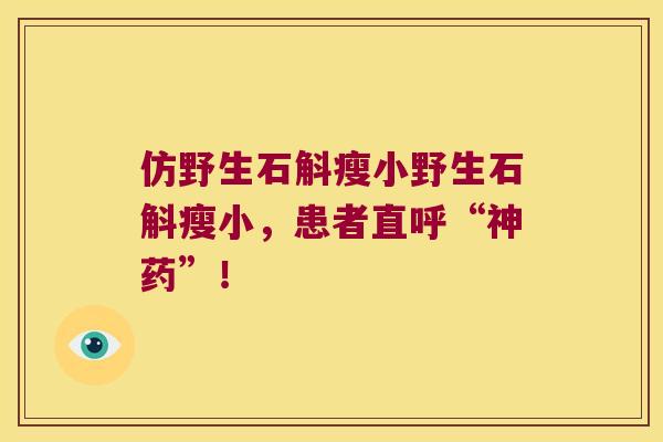 仿野生石斛瘦小野生石斛瘦小,患者直呼“神药”! 仿野生石斛瘦小野生石斛瘦小,患者直呼“神药”!