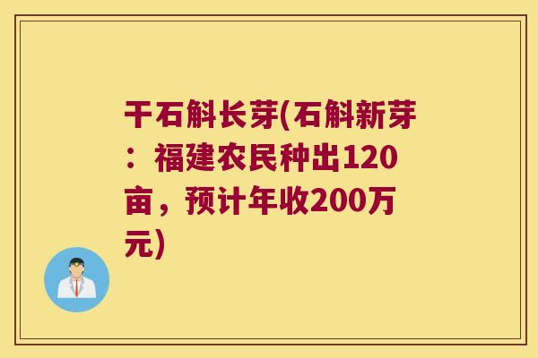 干石斛长芽(石斛新芽：福建农民种出120亩，预计年收200万元)