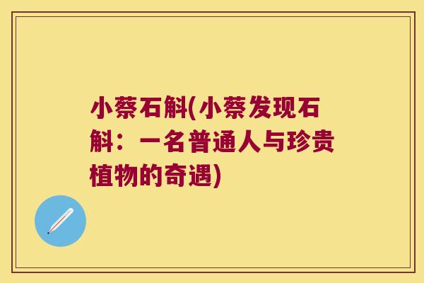 小蔡石斛(小蔡发现石斛：一名普通人与珍贵植物的奇遇)