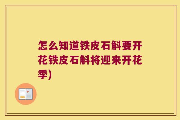 怎么知道铁皮石斛要开花铁皮石斛将迎来开花季)