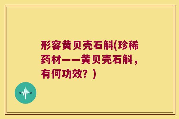 形容黄贝壳石斛(珍稀药材——黄贝壳石斛，有何功效？)