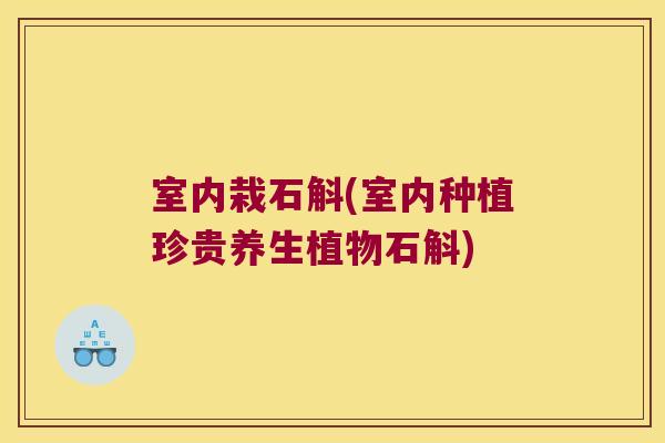 室内栽石斛(室内种植珍贵养生植物石斛)