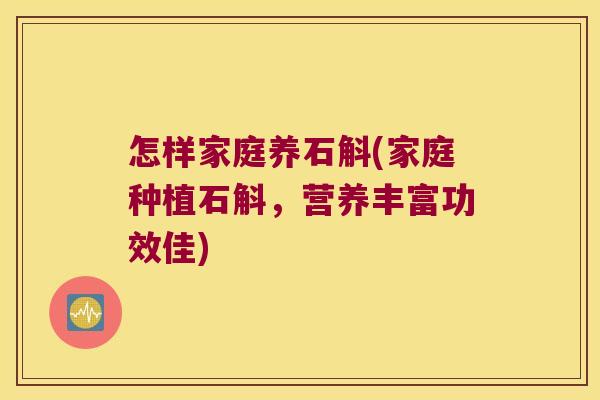 怎样家庭养石斛(家庭种植石斛，营养丰富功效佳)