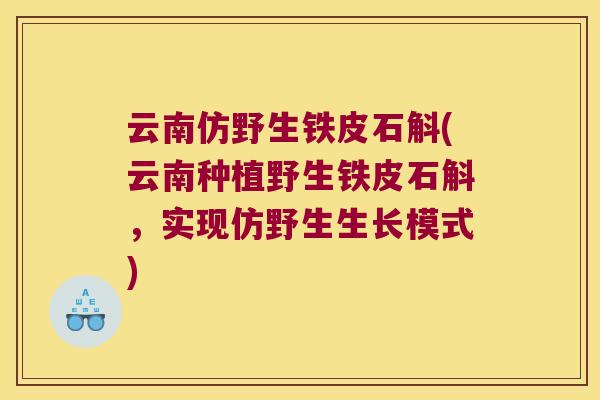 云南仿野生铁皮石斛(云南种植野生铁皮石斛，实现仿野生生长模式)