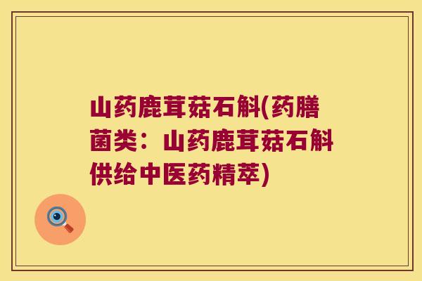 山药鹿茸菇石斛(药膳菌类：山药鹿茸菇石斛供给中医药精萃)