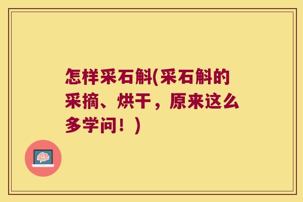怎样采石斛(采石斛的采摘、烘干，原来这么多学问！)