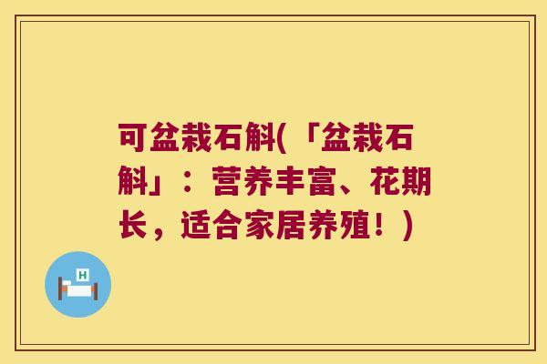 可盆栽石斛(「盆栽石斛」：营养丰富、花期长，适合家居养殖！)