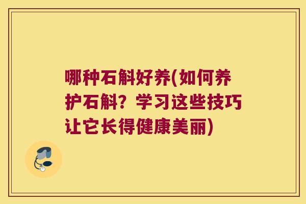 哪种石斛好养(如何养护石斛？学习这些技巧让它长得健康美丽)