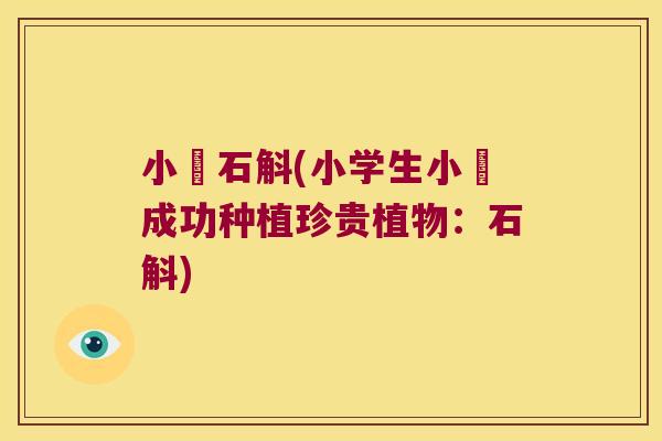 小嫚石斛(小学生小嫚成功种植珍贵植物：石斛)