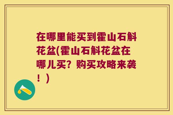 在哪里能买到霍山石斛花盆(霍山石斛花盆在哪儿买？购买攻略来袭！)