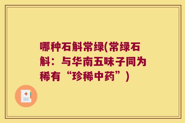 哪种石斛常绿(常绿石斛：与华南五味子同为稀有“珍稀中药”)